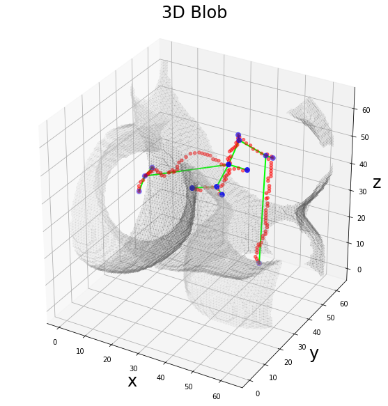 ../_images/notebooks_graphomics_graph_extraction_12_0.png