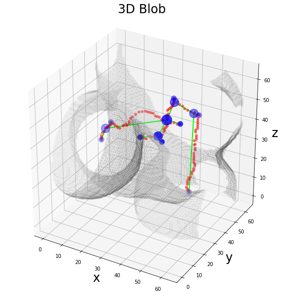 ../_images/notebooks_graphomics_graph_extraction_18_0.png
