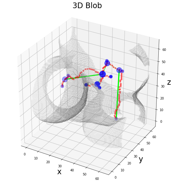 ../_images/notebooks_graphomics_graph_extraction_22_0.png