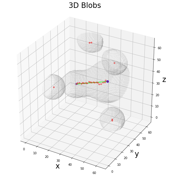 ../_images/notebooks_graphomics_skeleton_geometry_21_0.png